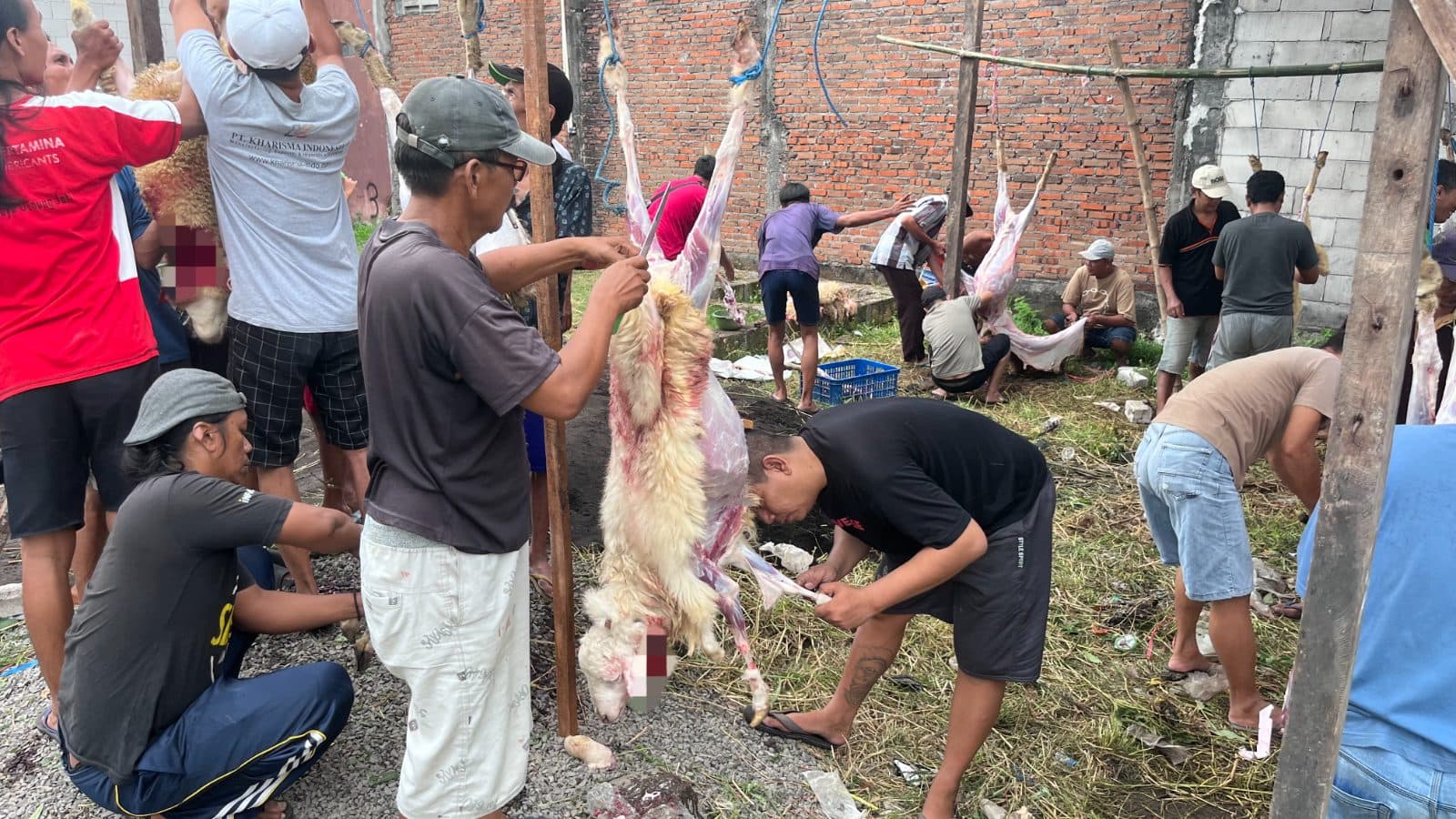 Gotong royong bapak-bapak RW 06 dalam proses pengulitan daging kurban.